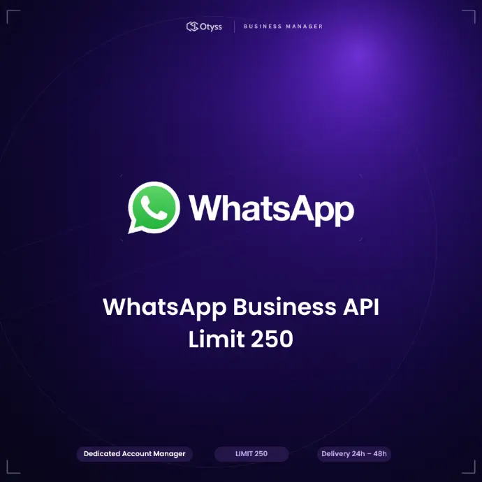 WhatsApp Business API BM Limit 250