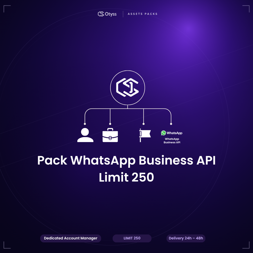 Pack WhatsApp Business API  Limit 250