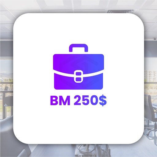 [Assets] BM 250$